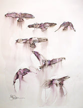 Original - 7 Crows - Unframed